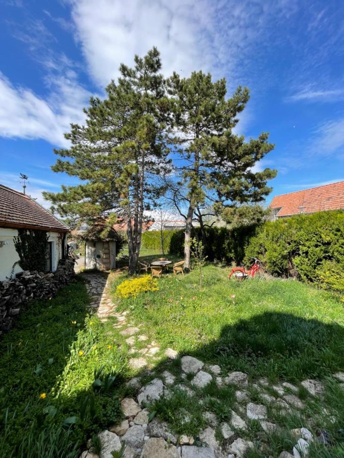 Gartenapartment Storchenblick Weiden am See Exterior foto